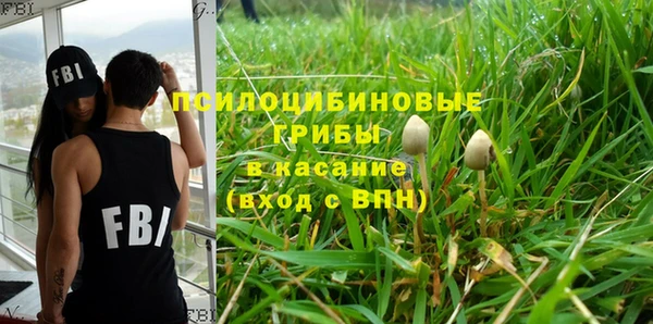 соль курить ск Алзамай