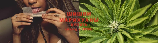 соль курить ск Алзамай