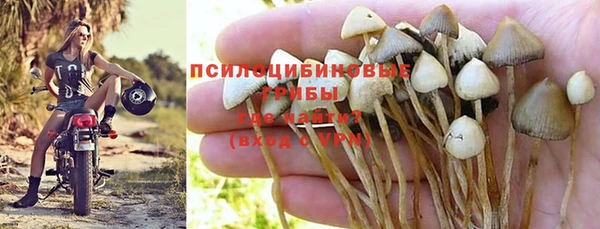 амф Алексеевка